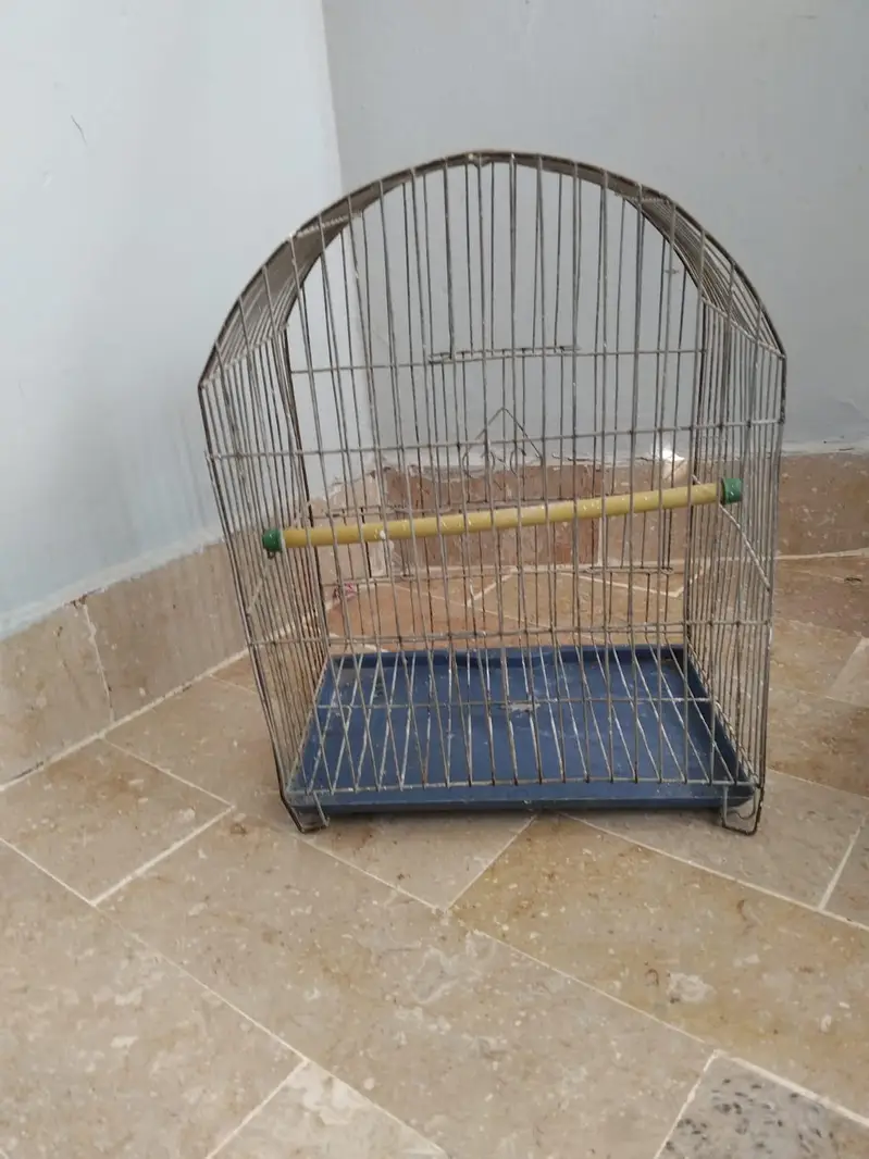 Cages — photo 7