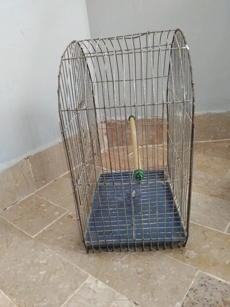 Cages — photo 8