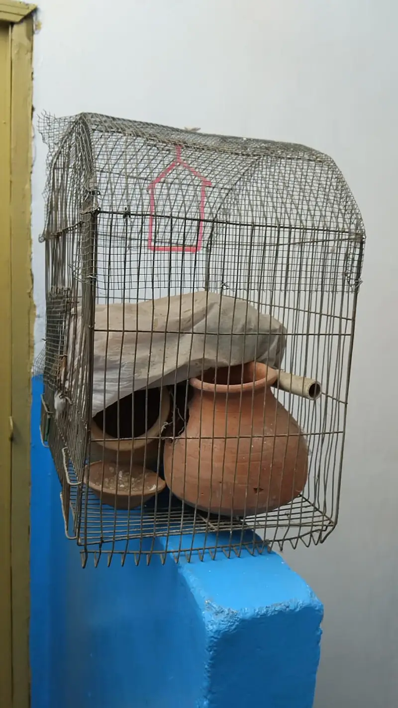 Cages — photo 9