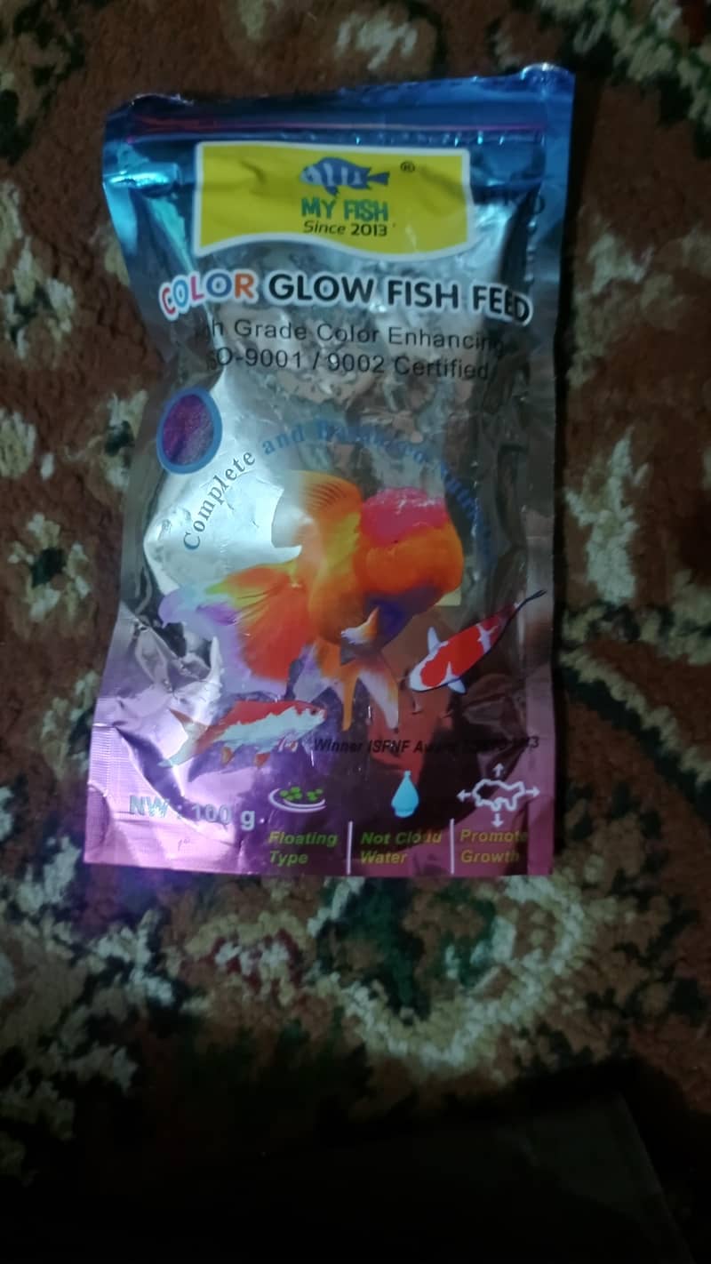 fish aquarium 1
