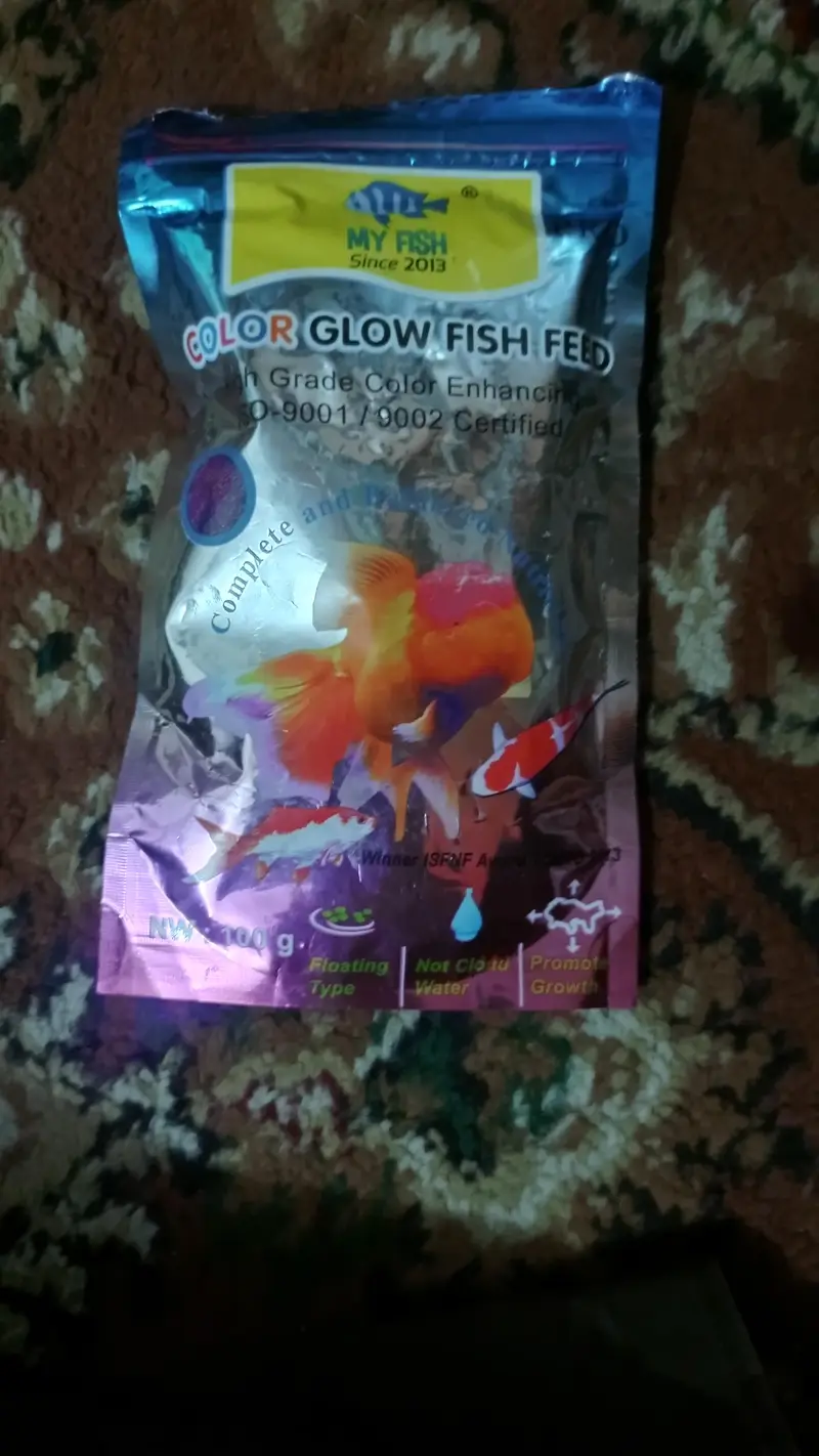fish aquarium — photo 2