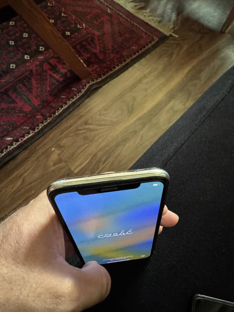 Apple iPhone X 5