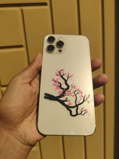 Apple iPhone 12 Pro Max