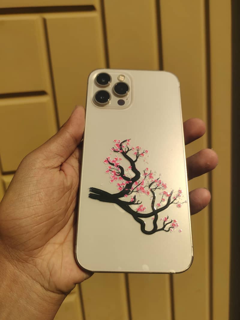 Apple iPhone 12 Pro Max 0