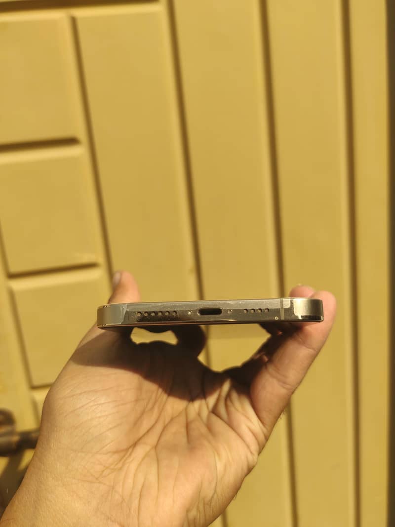 Apple iPhone 12 Pro Max 1