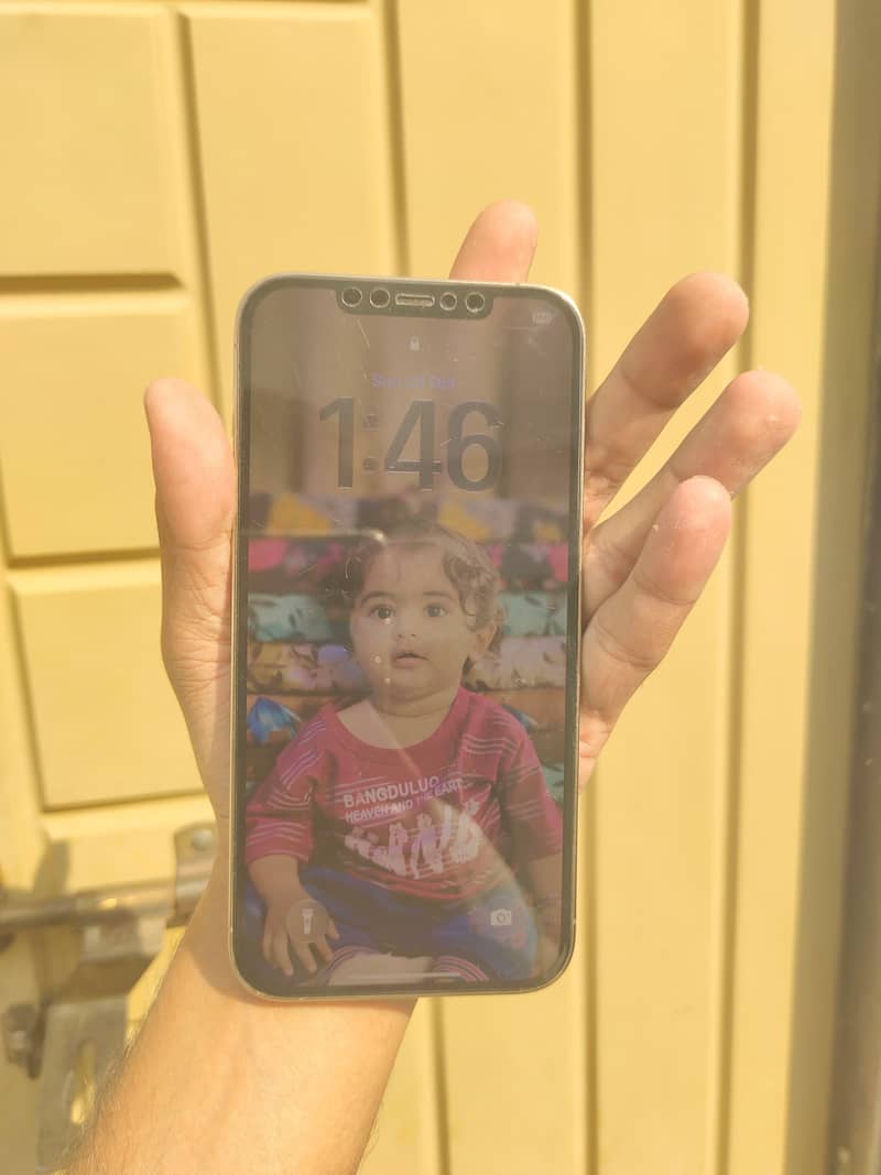 Apple iPhone 12 Pro Max 6