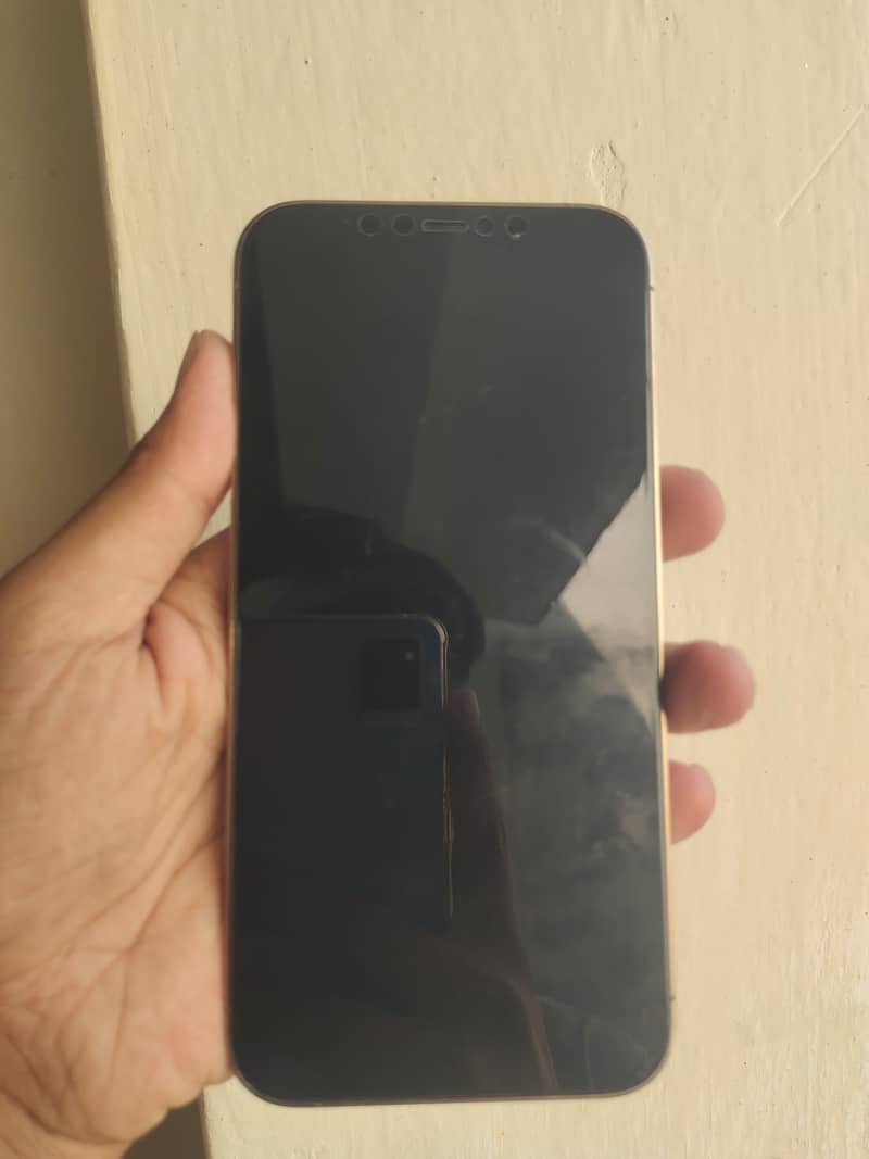 Apple iPhone 12 Pro Max 7