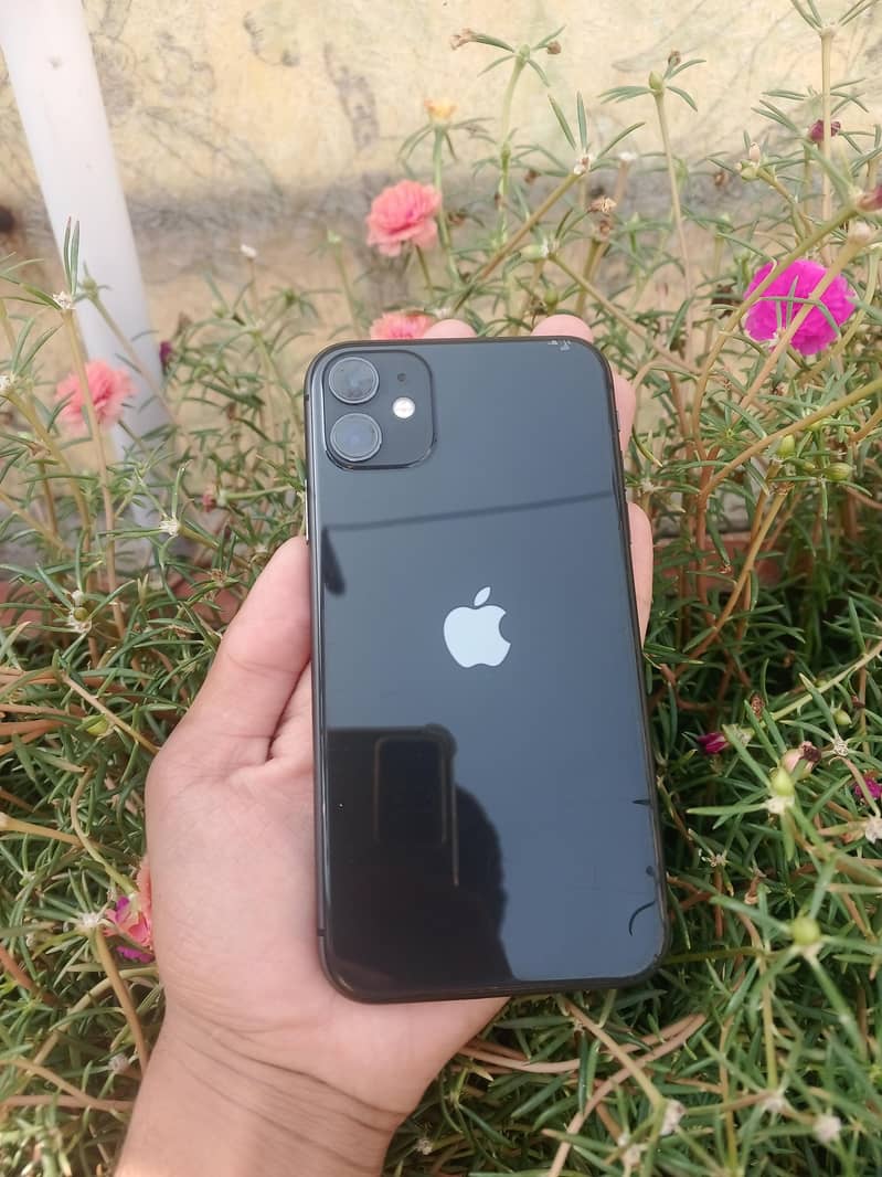 iPhone 11 0