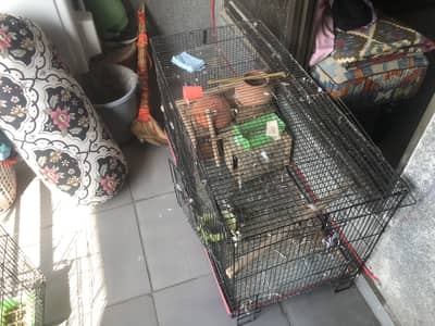 2 Bird Cages for Sale – Large Partition Breeding Cage & Medium Cage