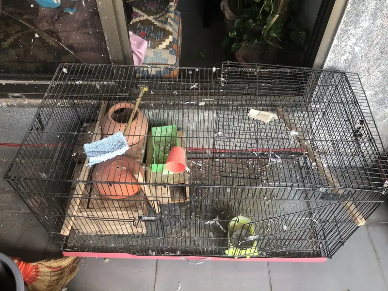 2 Bird Cages for Sale – Large Partition Breeding Cage & Medium Cage — photo 2