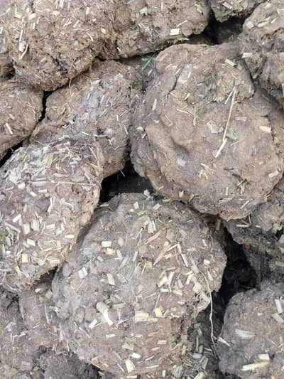 Organic Desi Uple Kande - Chulha Fuel