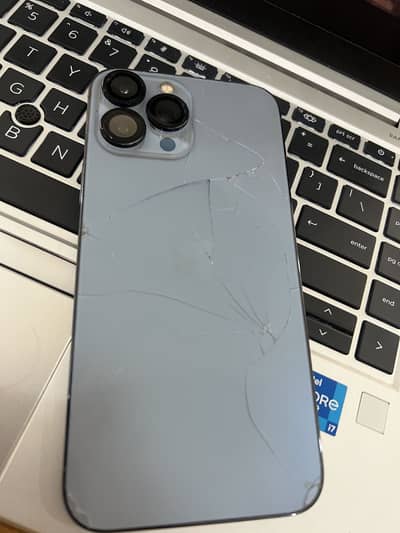 Apple iPhone 13 Pro Max