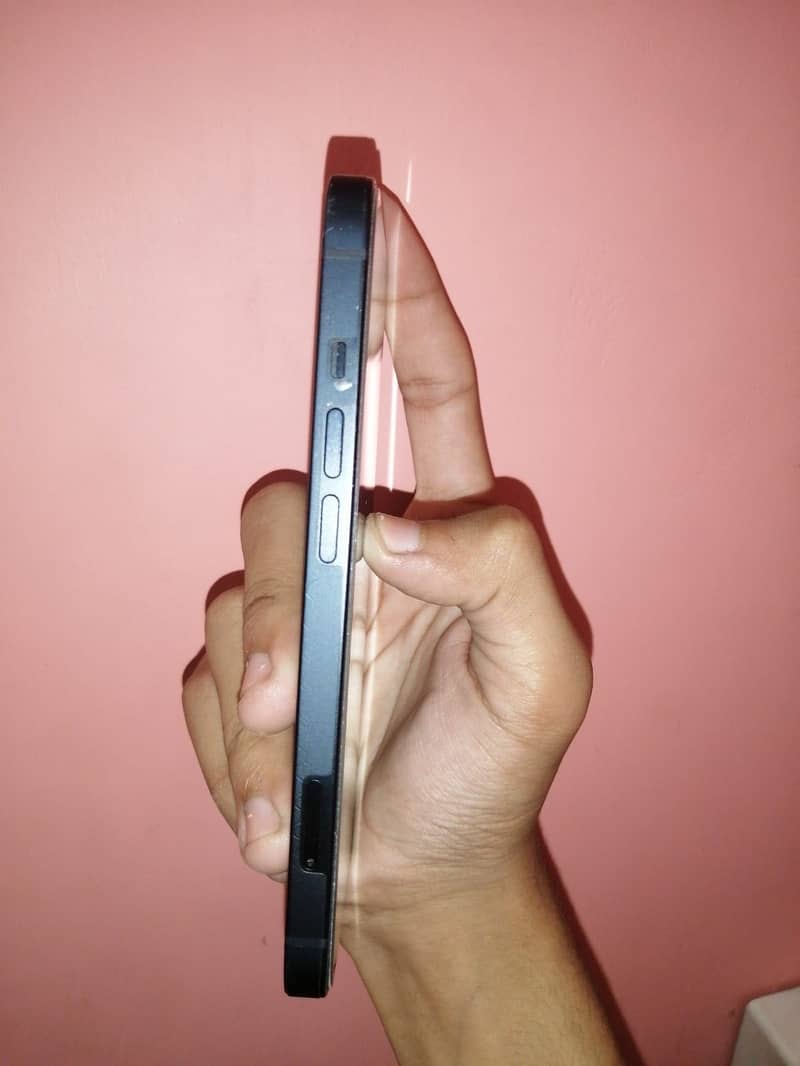 Apple iPhone 13 0