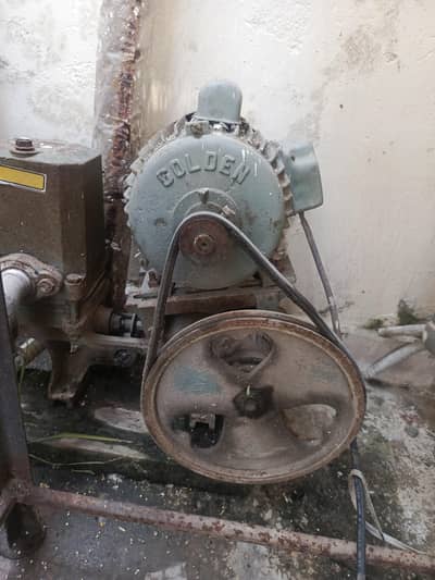 Golden donkey Pump motor