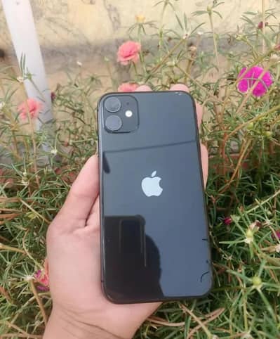 Apple iPhone 11