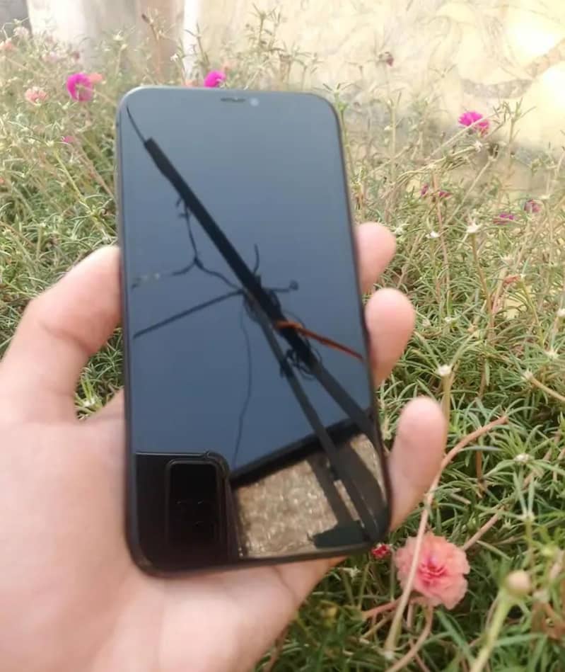Apple iPhone 11 1