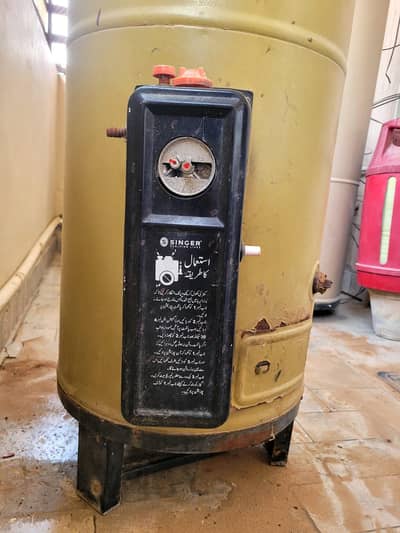 Singer geyser for sale