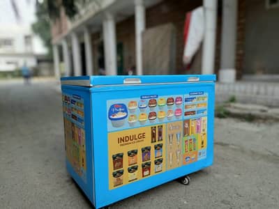 Ice cream Deep freezer single door (0336/7070/370) Genuine set