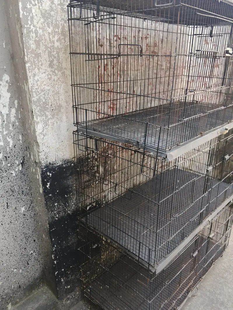 8 portions folding cage for sale size 3*1.5*1.5 — photo 2