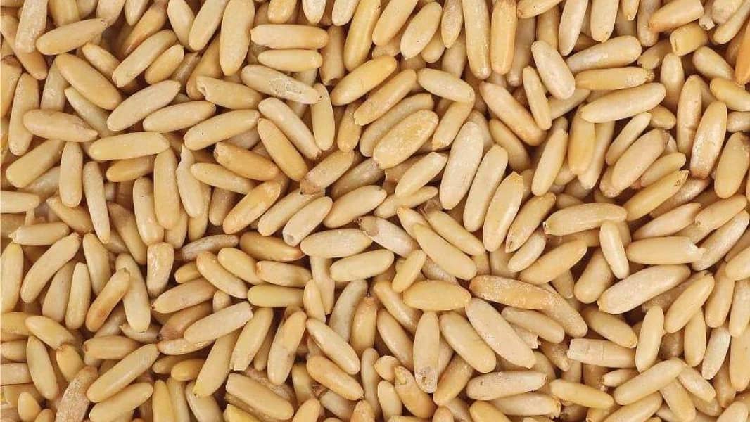 اعلیٰ کوالٹی چلغوزہ دستیاب ہے! 3
