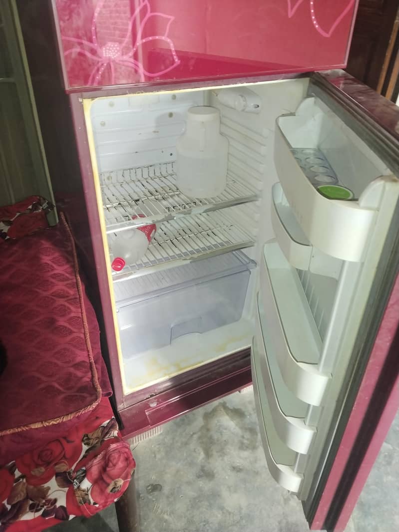 fridge 3