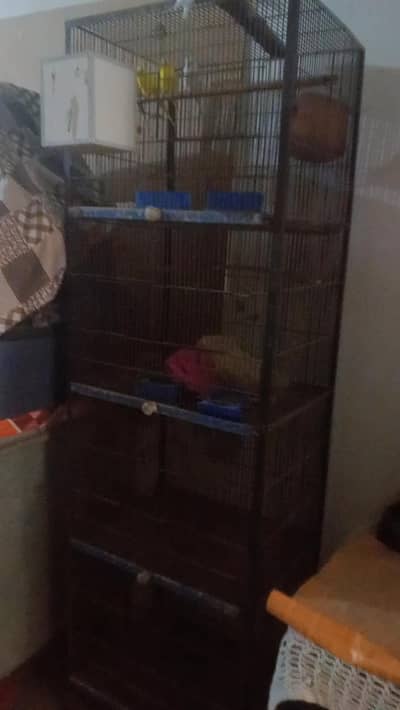 Australian birds and cage