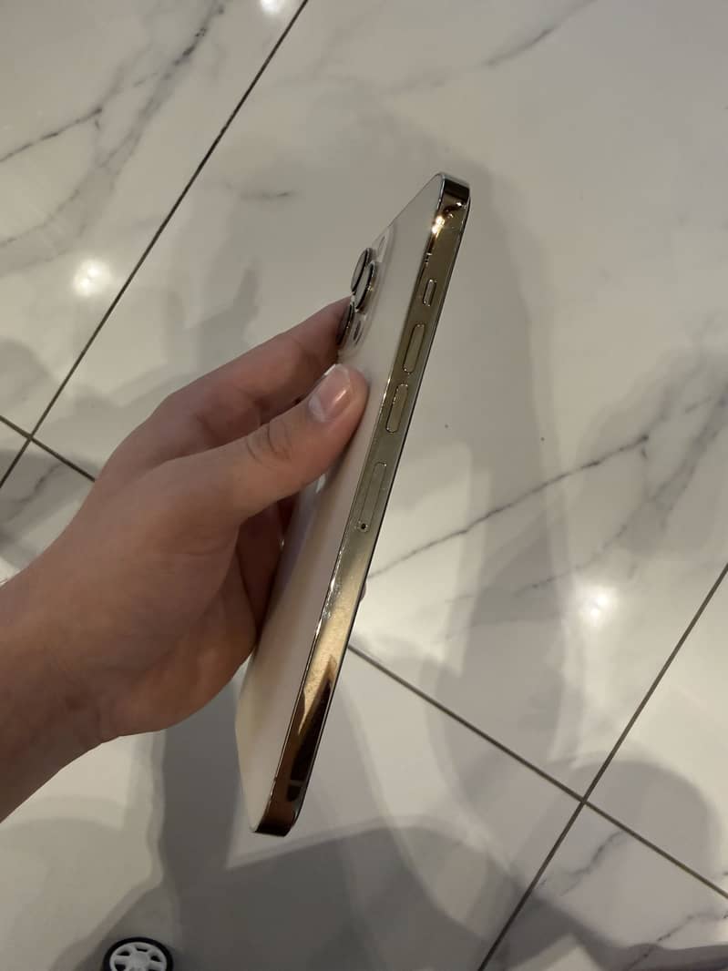 Apple iPhone 13 Pro Max 1