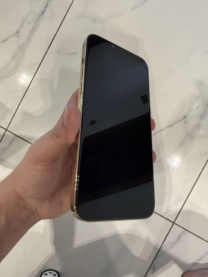 Apple iPhone 13 Pro Max 2