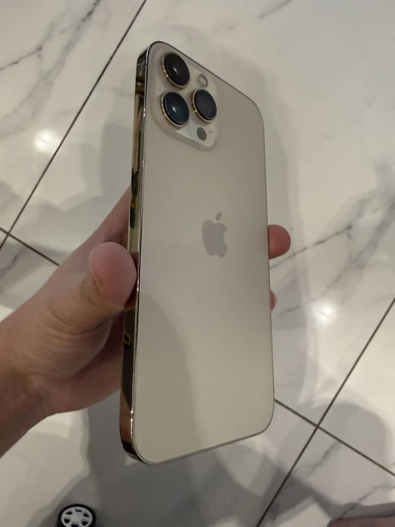 Apple iPhone 13 Pro Max 3