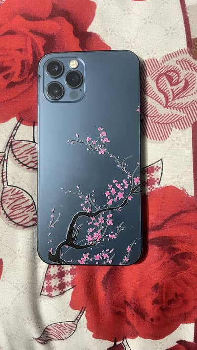 iPhone 12Pro (Non Pta Physical Dual sim work)