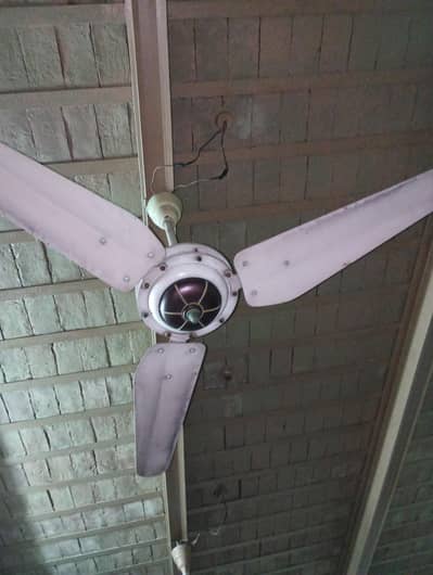 Lahone Ceiling Fan