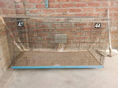 Birds and Hen cage