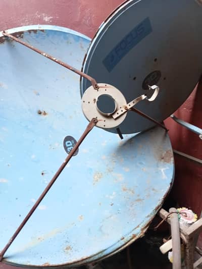 dish for sale
