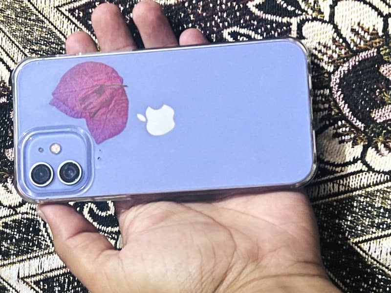 Apple iPhone 12 0