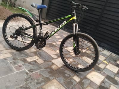 24 inch  cycle