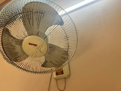 Fan royal full ok