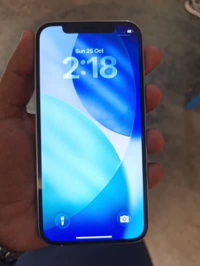 Apple iPhone 12 Pro PTA Approved