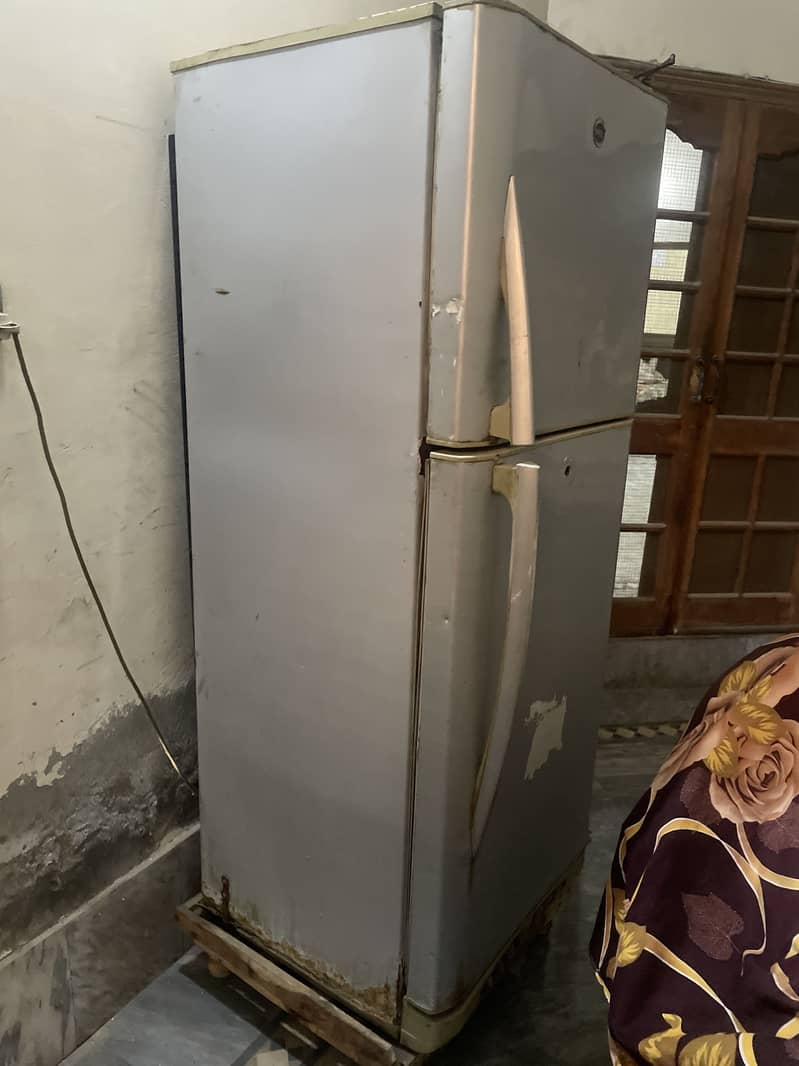 Pel fridge jambo size 1
