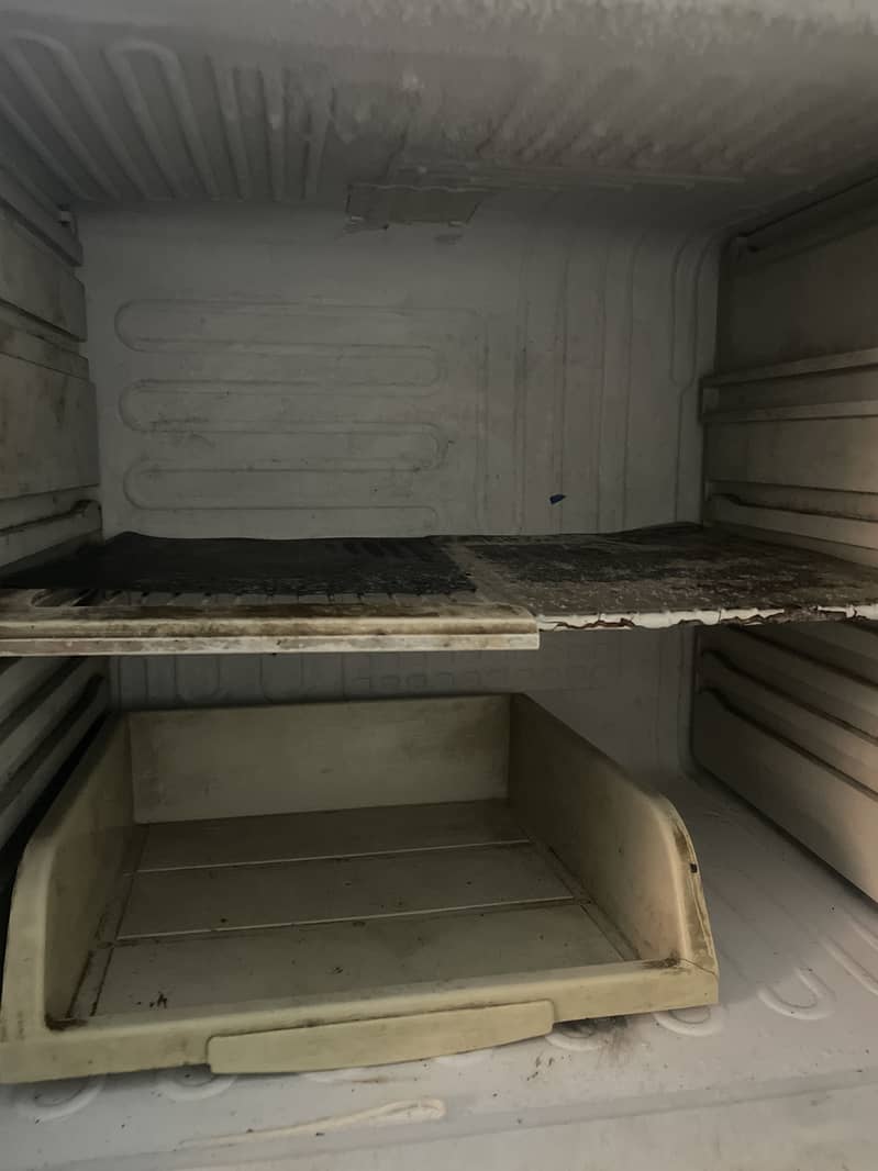 Pel fridge jambo size 2