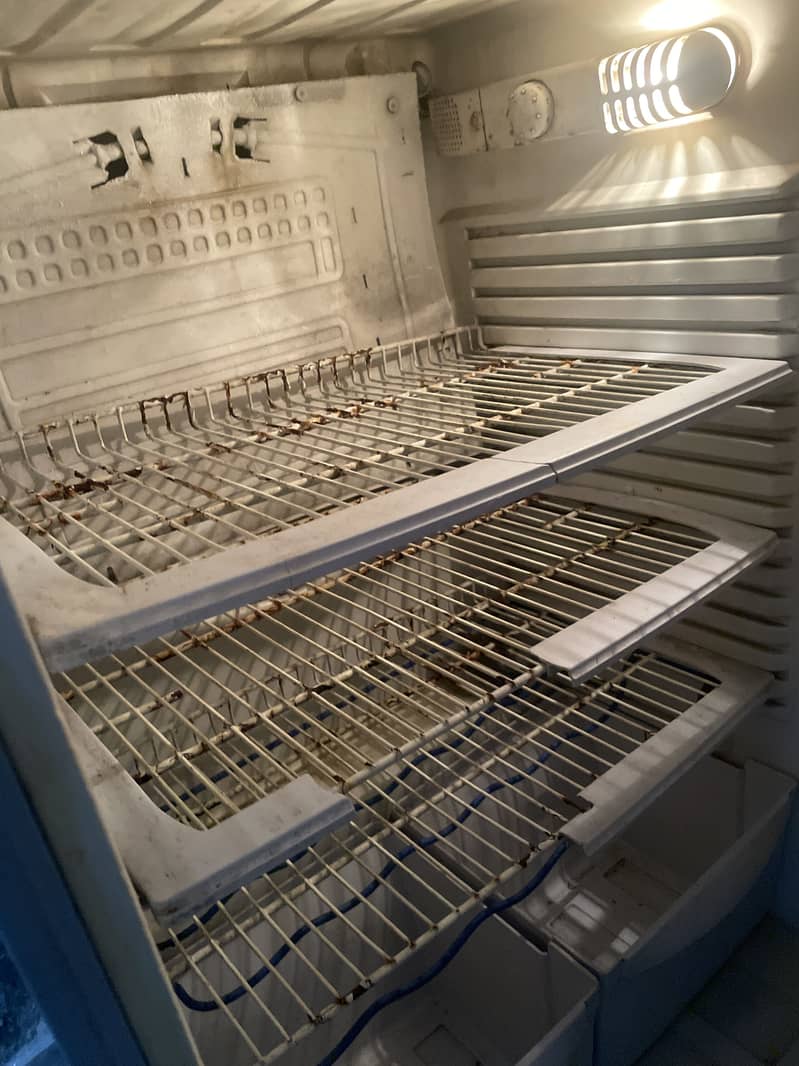 Pel fridge jambo size 3