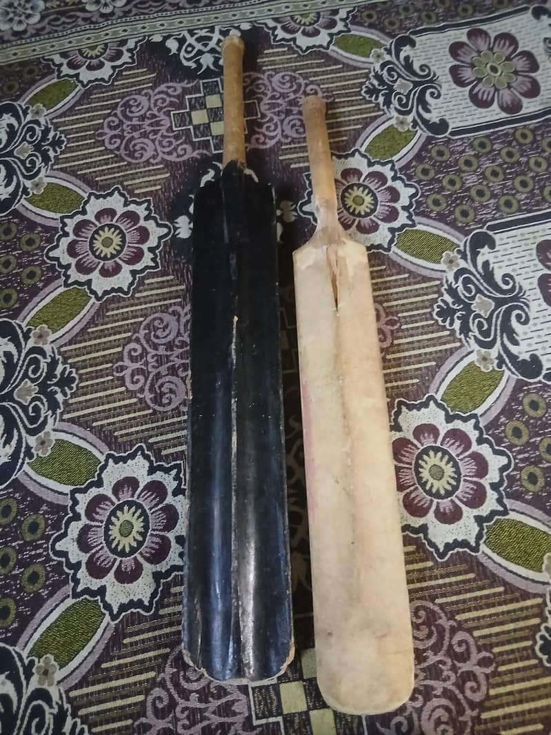 cricket bat 0