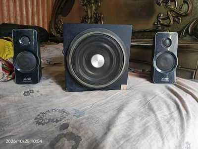 F&D woofer