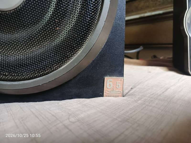 F&D woofer 1