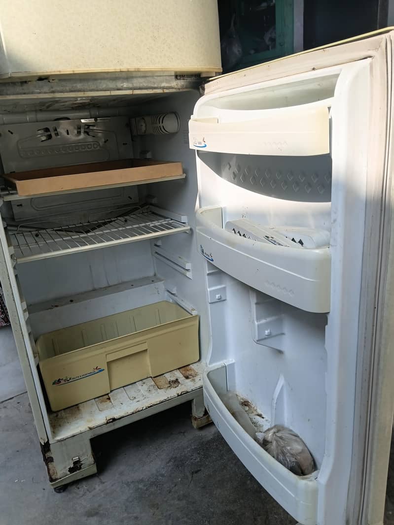 pel refrigerator 2