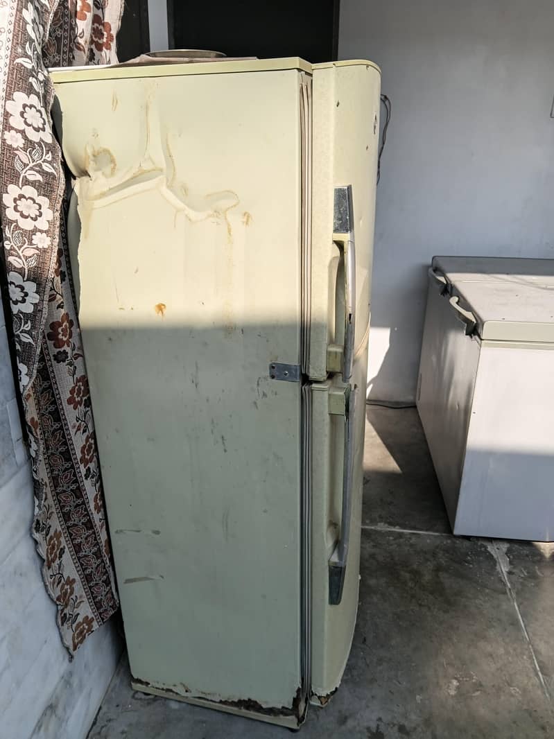 pel refrigerator 3
