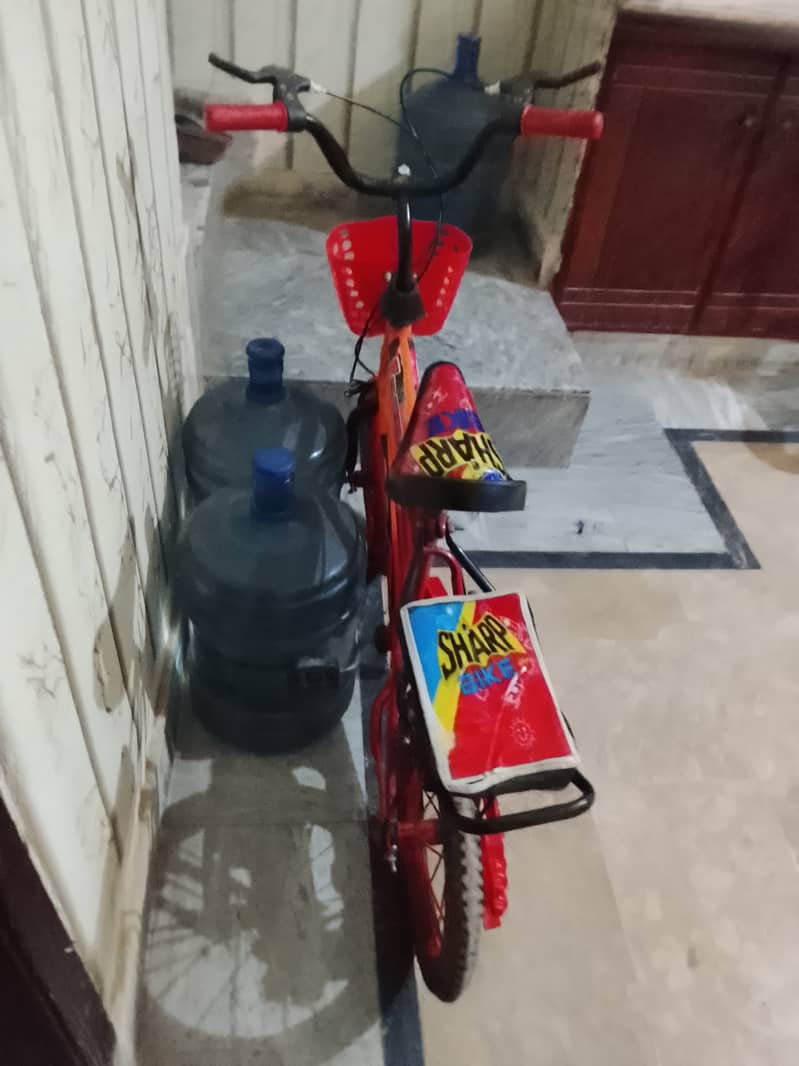 Kids cycle 2