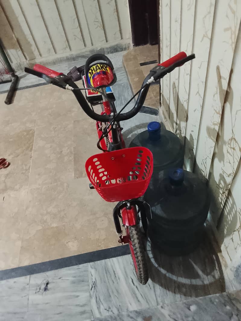 Kids cycle 4