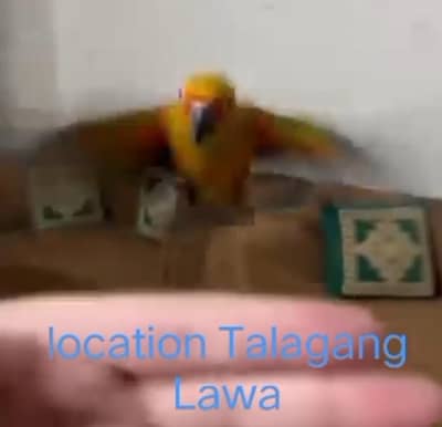 sunconore for sale location talagang lawa