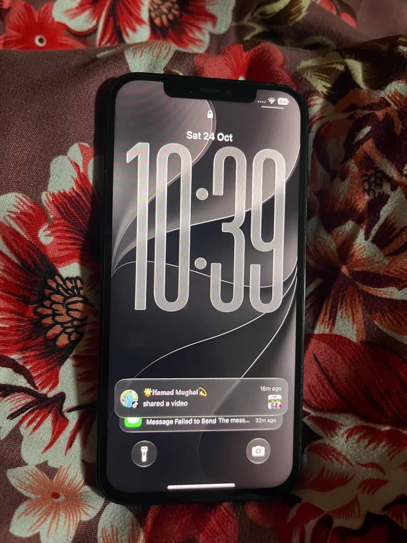Apple iPhone 12 Pro Max 2