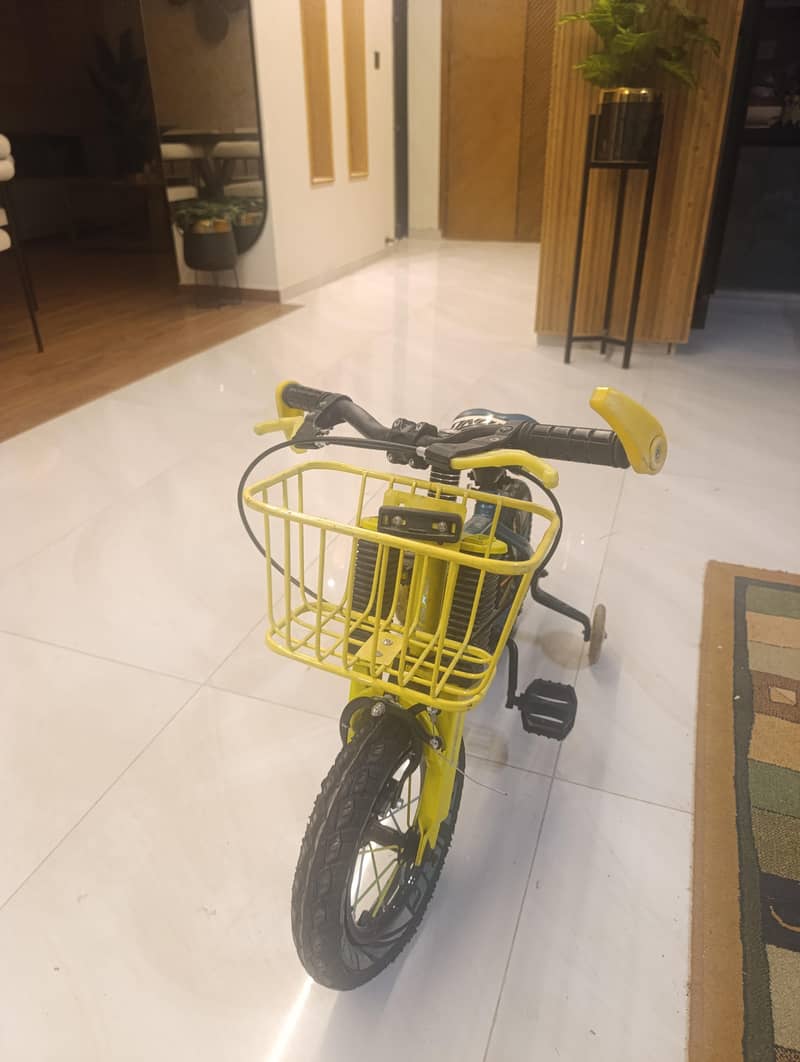 bicycle 0